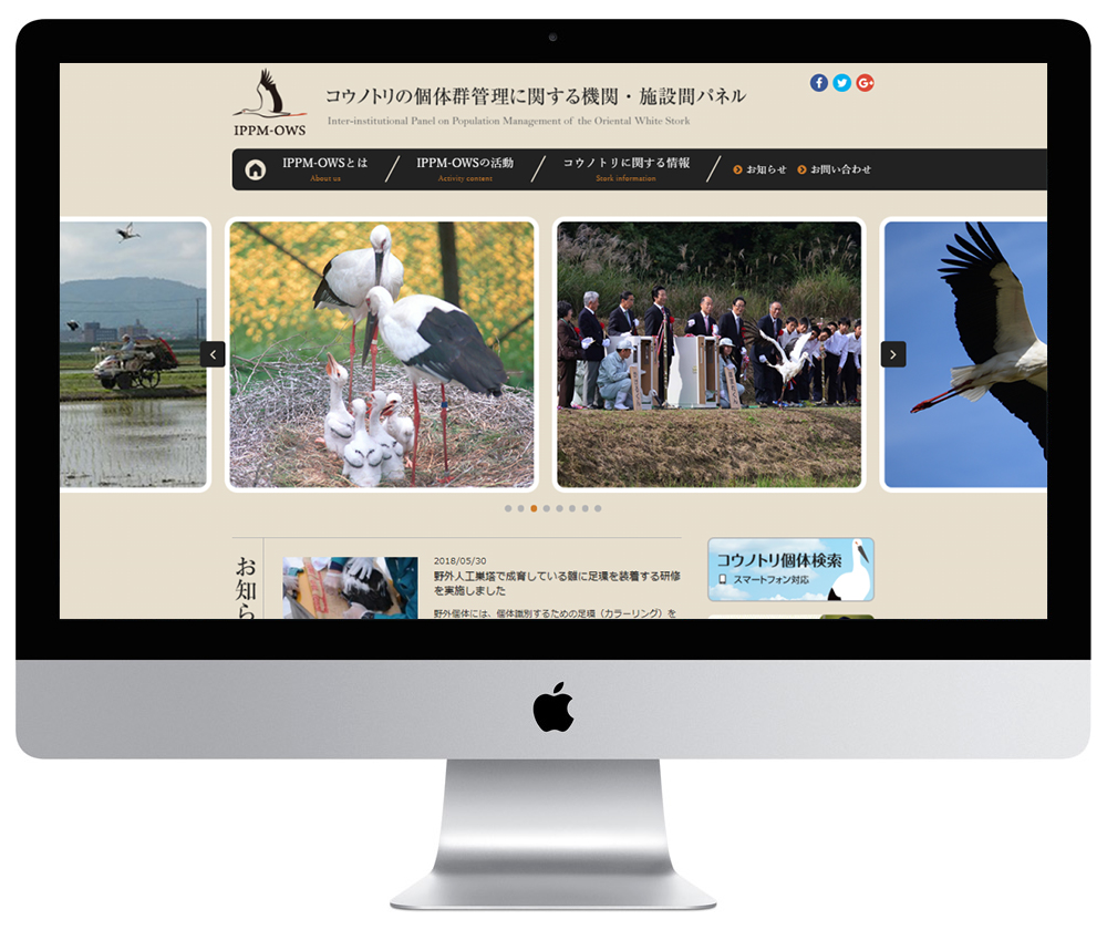 兵庫県豊岡市にある研究機関のホームページ制作と検索システム構築