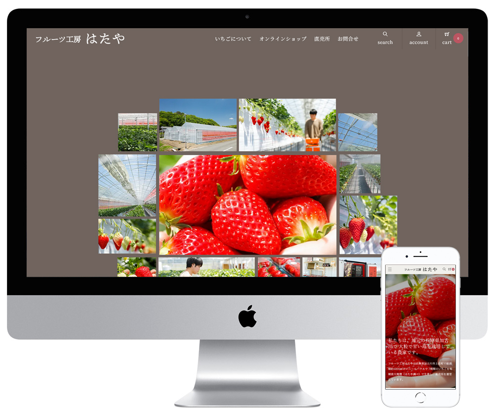 兵庫県加古川市のいちご生産・直売を行う農業法人のECサイト（Shopify）を制作しました